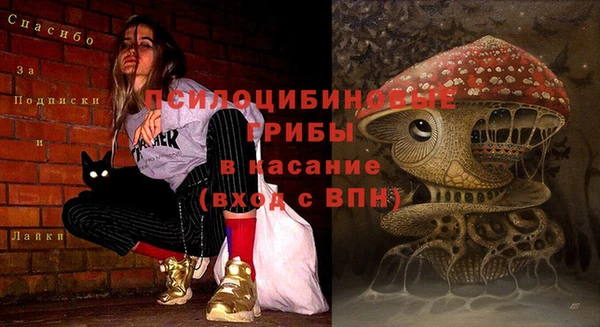 эйфоретик Абдулино