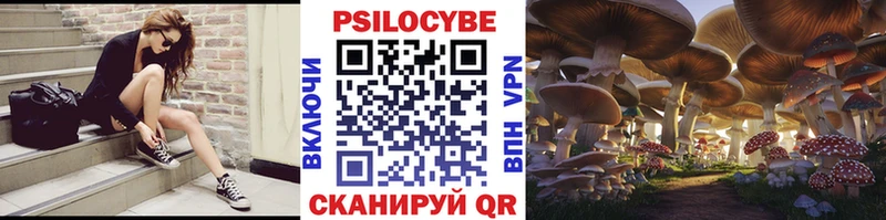 Псилоцибиновые грибы MAGIC MUSHROOMS где найти мориарти формула Шебекино