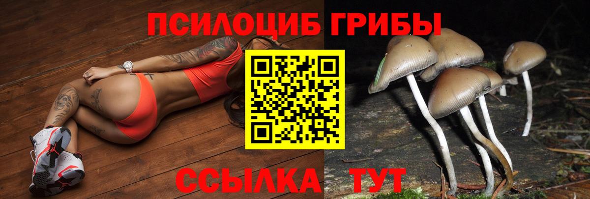 Шебекино  где продают   Вход с VPN  Псилоцибиновые грибы Cubensis  Галлюциногенные грибы ЛСД 